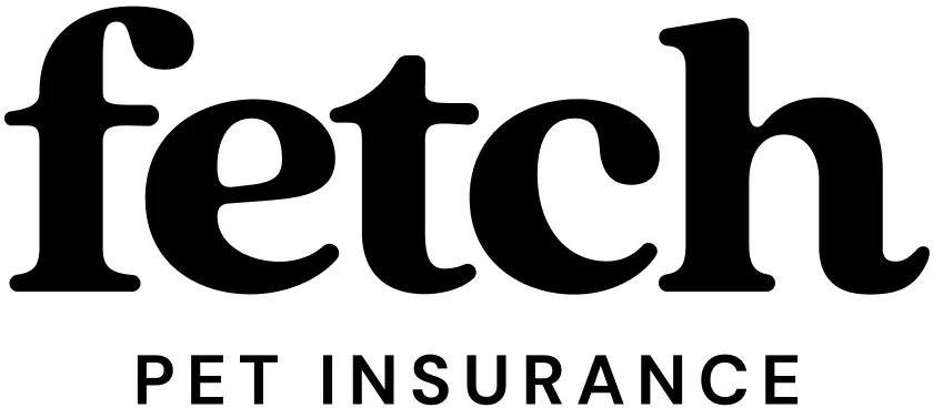 Pet insurance explained
